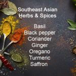 Southeast Asian Spice & Seasoning