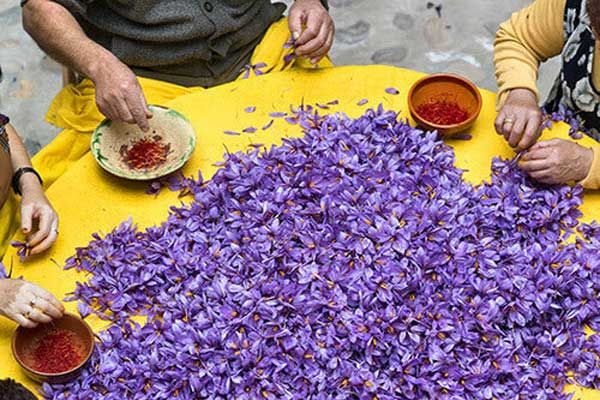 Why Pick Persian Saffron