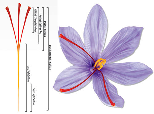Type of Persian saffron